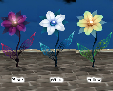 Black Magic Flower